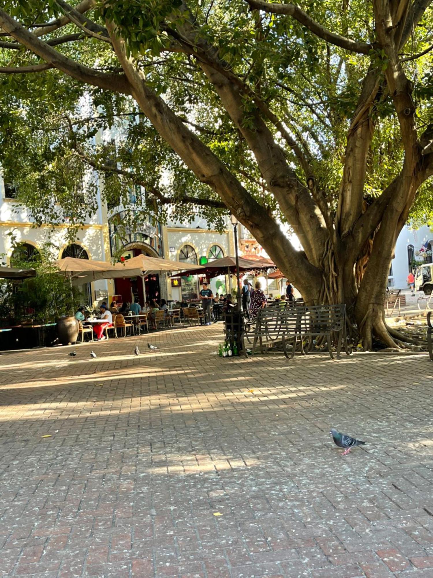 Studio 27 Colonial, Centro Historico Santo Domingo Buitenkant foto